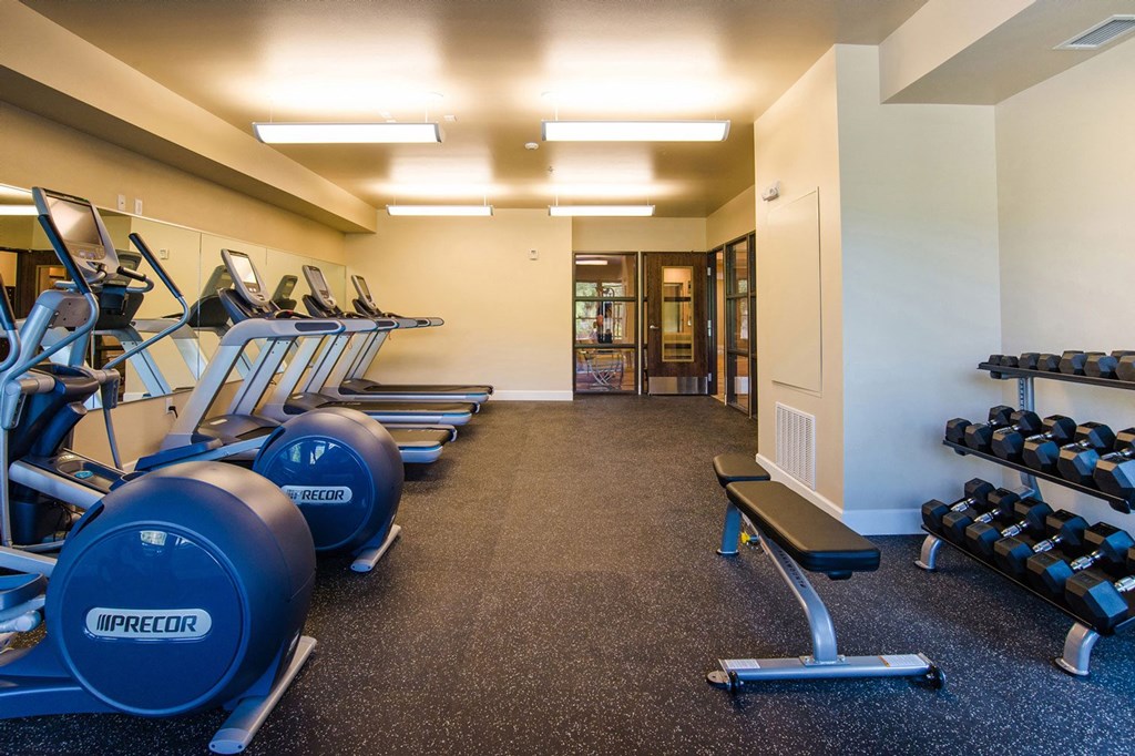 Siena Fitness Center with Modern Equipment Compact gym here at Siena Apartment Homes with treadmills, elliptical machines, and stacked dumbbells. Bright lighting and mirrored wall create an open, inviting atmosphere.