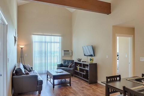 a living room with a couch and a table and a television