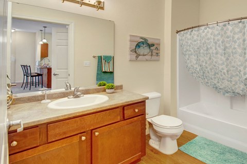 Bathroom here at Prairie Pines Apartment Homes with light wood cabinets, a white sink, and a shower with a blue leaf-patterned curtain. A turtle art piece decorates the wall. Calm and tidy.