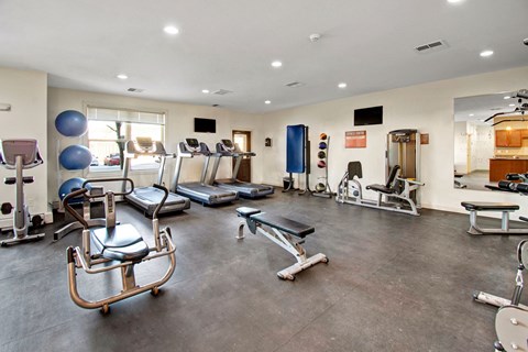 A bright gym here at Prairie Pines Apartment Homes with treadmills, stationary bikes, benches, and exercise balls. The modern, neat setup conveys energy and focus.
