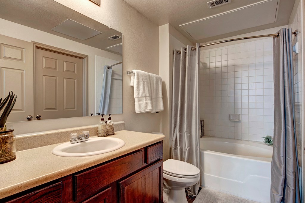 Aviare Arts Bathroom