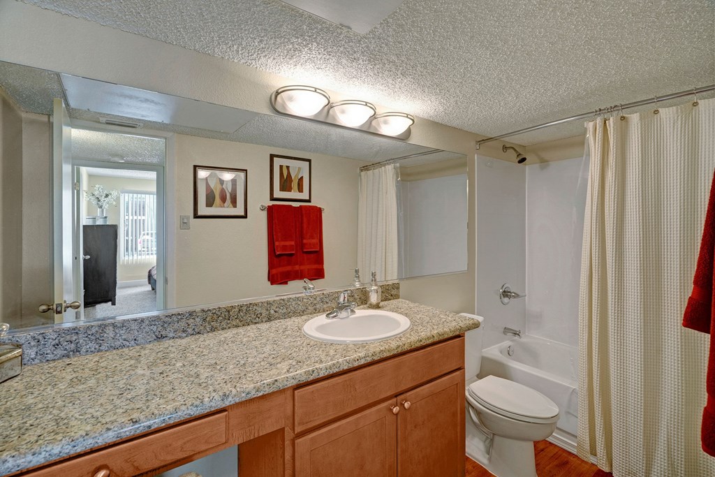 Acacia Park Apartments Bathroom Apartment for rent in Odessa, TX