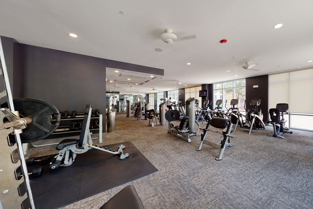 Spacious gym interior here at Arpeggio Apartment Homes with cardio machines and free weights, large windows letting in natural light. Modern, clean, and inviting atmosphere.