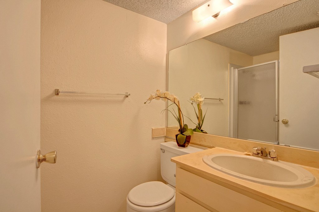 Small bathroom here at Fairgreen Apartment Homes with beige walls, a countertop with a sink, and a large mirror. An orchid plant in a pot decorates the space, creating a calm atmosphere.