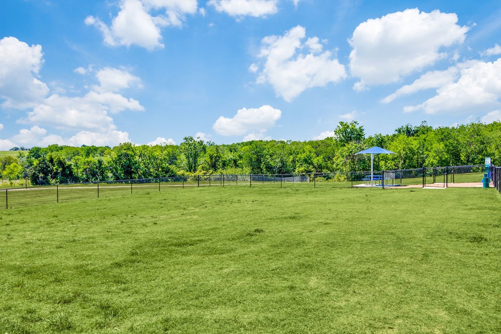 Harmony Luxury Green Space Apartment near Dallas Fort Worth