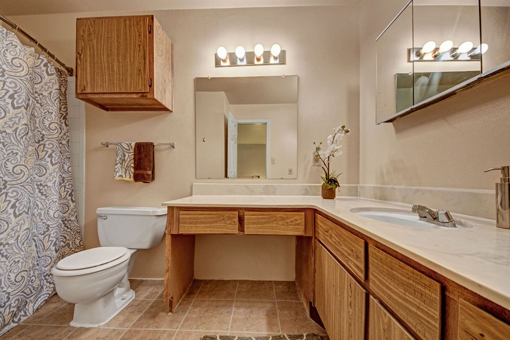 High Plains Bathroom Apartment for rent in Odessa, TX