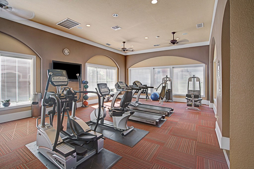 Bright gym room here at The Palms at Briarwood Apartment Homes with red carpet, equipped with treadmills, elliptical machines, weights, and exercise balls. Large windows provide natural light.