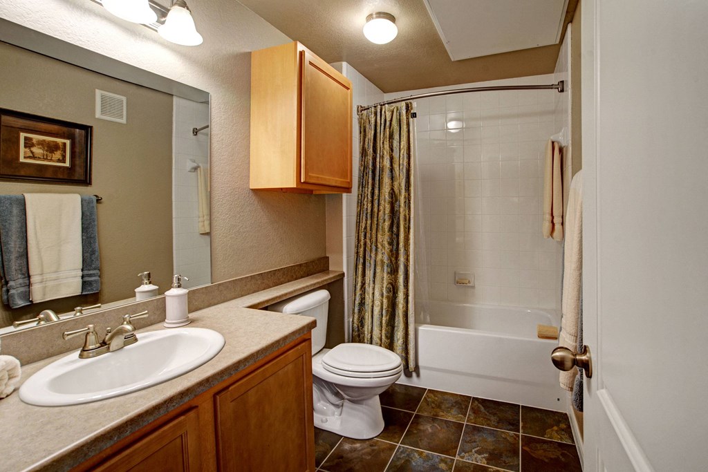 Small, cozy bathroom here at The Palms at Briarwood Apartment Homes with a sink, toilet, and shower. Brown cabinets, patterned shower curtain, and fluffy towels add warmth. Simple decor and tile floor.