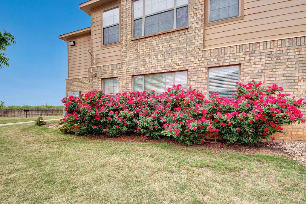 Reserve at Abilene Exterior Abilene Apartments Garden