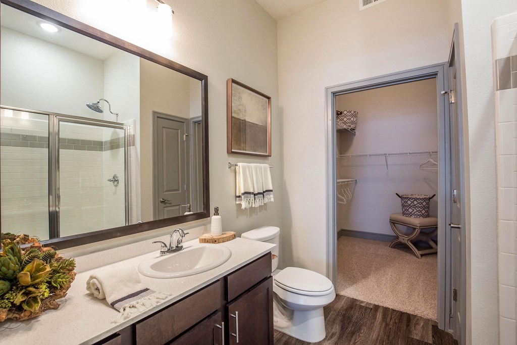 Modern bathroom here at Sorrel Fairview Apartment Homes with wooden cabinets, white sink, and large mirror. Features a walk-in closet, glass shower, and soft lighting, conveying warmth and elegance.