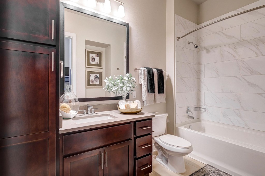 Waterford Market Apartments Bathroom Apartment for rent near DFW