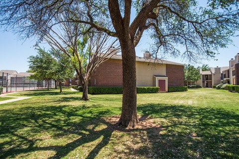 Wildflower Exterior Wildflower Exterior Apartment rental near Odessa, TX