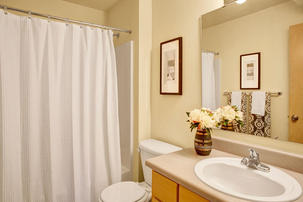 Allegro Bathroom Apartments in Covington, WA
