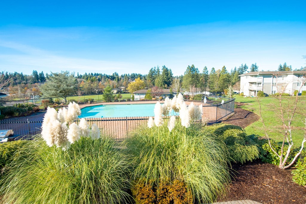 Andorra Apartments- Pool and beautiful landscape