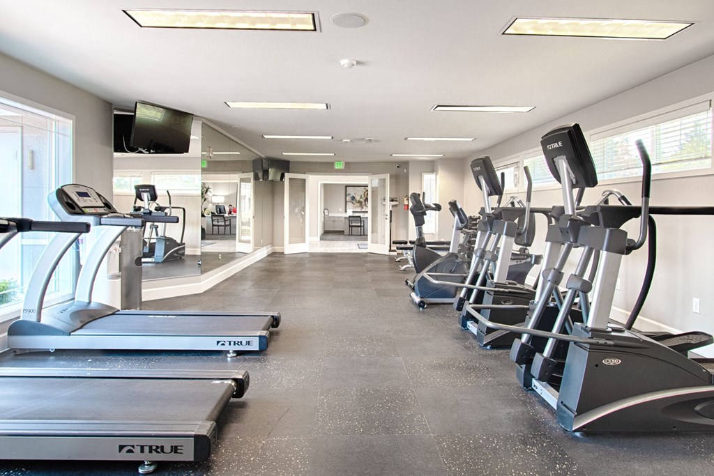 Andorra Apartment- Equipped fitness room