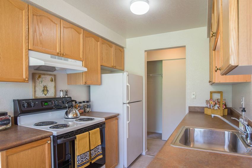 Andorra Apartments- Large kitchen with wooden cabinets and lots of storage space Andorra Apartments- Large kitchen with wooden cabinets and lots of storage space - Photo Gallery