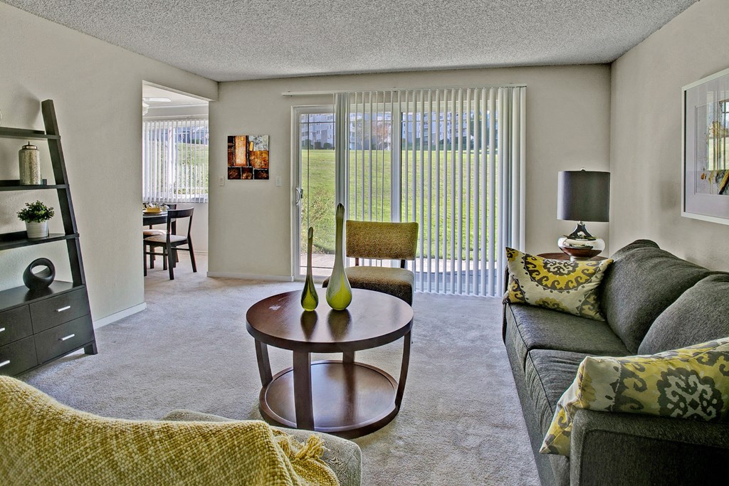 Andorra Apartments- large living room with patio access