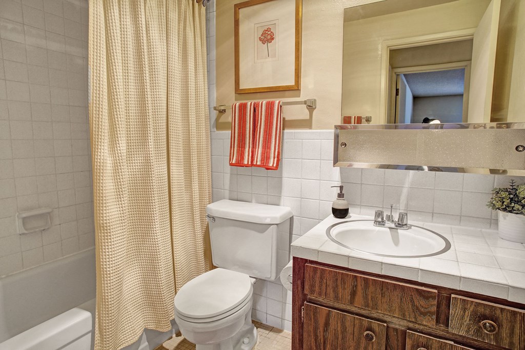 Lakeside bathroom, Dean Weidner Real Estate Investments Apartments in Mountlake Terrace, WA