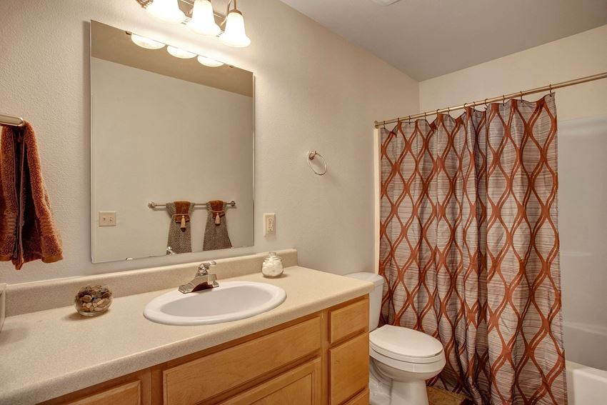 A bathroom with cabinets under the sink, a shower and bathtub, and a large mirror over the sink Lion's Gate Bathroom