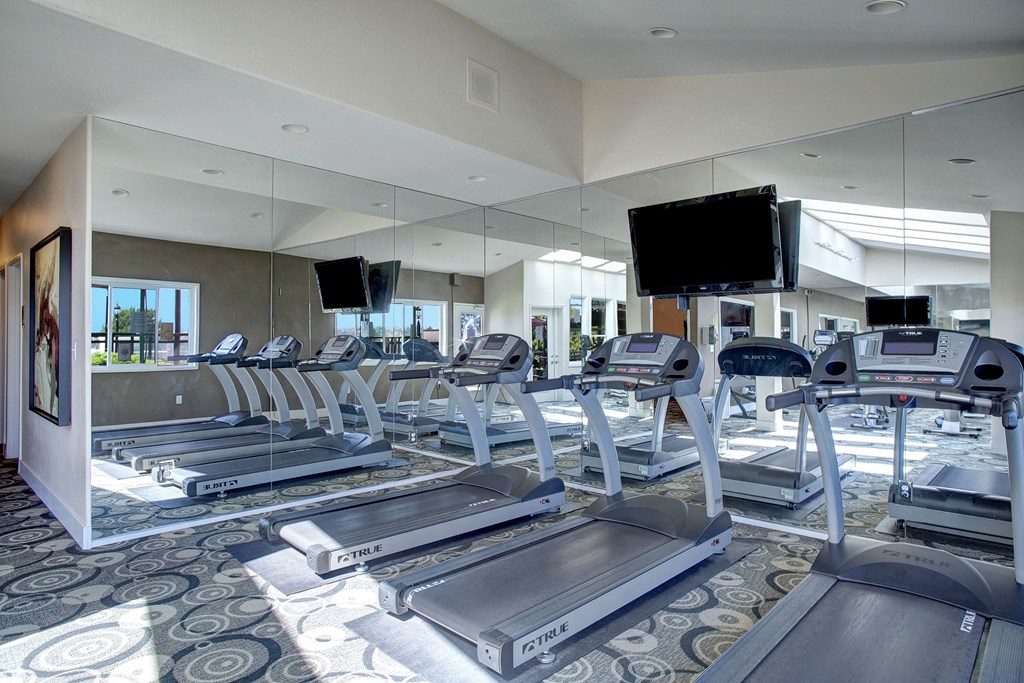 Rows of treadmills in front of a flat screen TV Overlook at Magnolia Gym Apartments in Seattle, WA