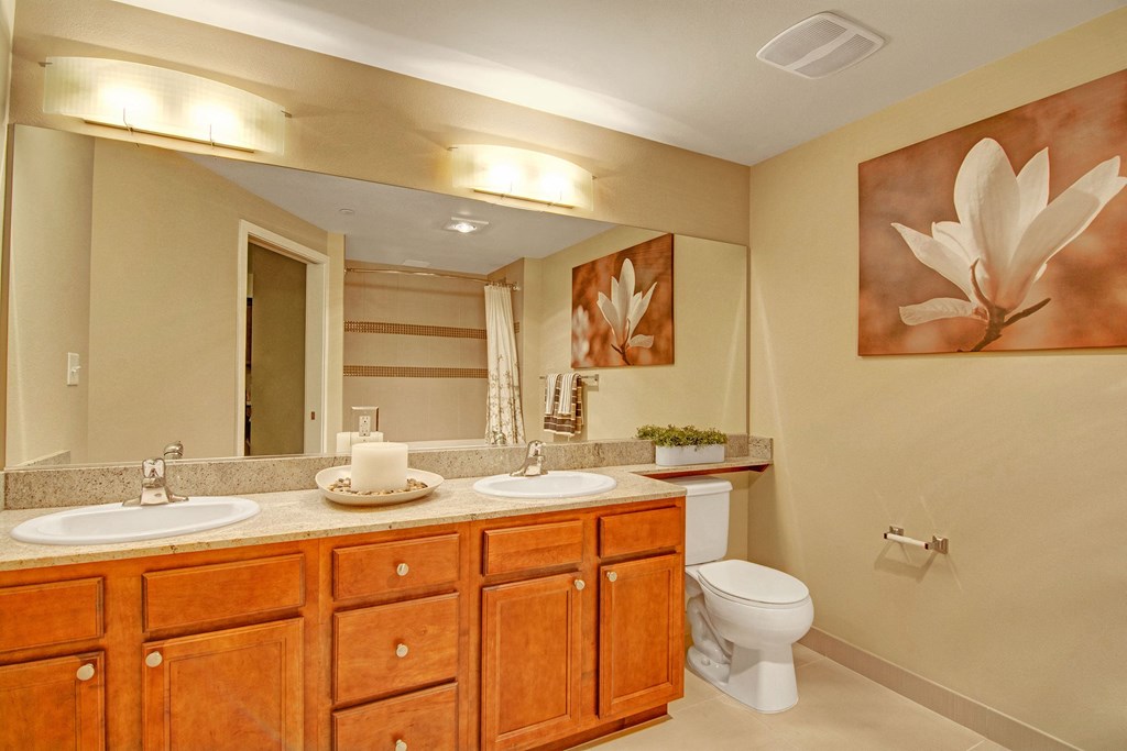 The Artiste Bathroom Apartments in Shoreline, WA
