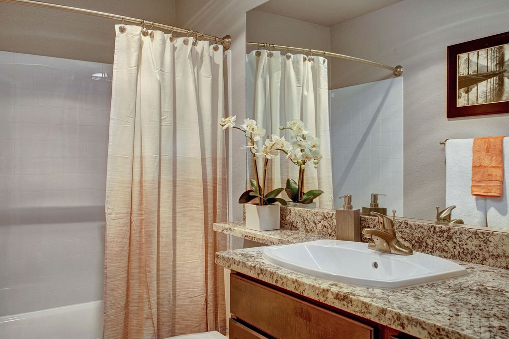 The Cove Renovated Bathroom Apartments in Federal Way, WA