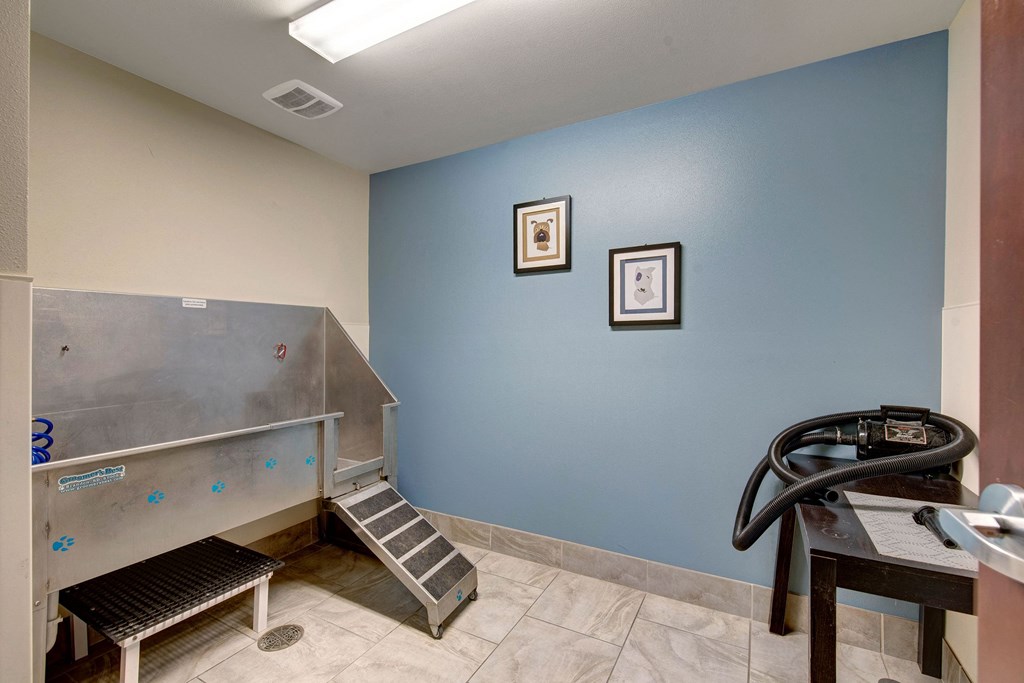 Pet washroom at Avenir Apartments with a metal tub, ramp, and hose on a table. Blue and beige walls feature dog artwork, creating a clean, welcoming space.