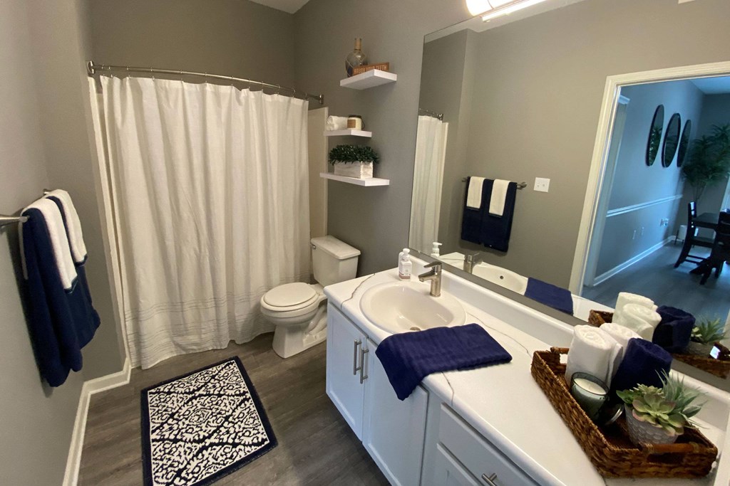 Harbin Pointe Bathroom Apartments for rent Springdale AR