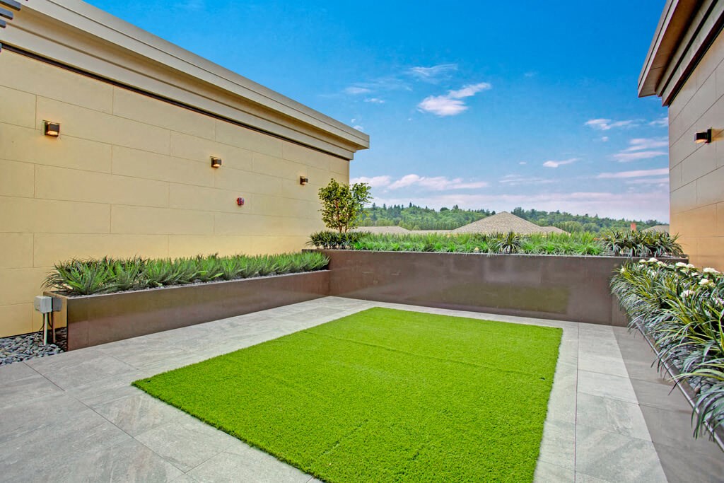 Woodin Creek Village grassy area