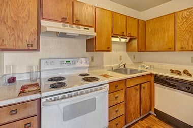 110 E 11Th Avenue 1 Bed Apartment for Rent Photo Gallery 1