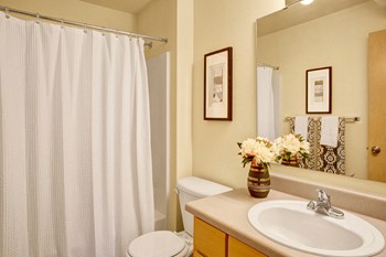 Shower, tub, large mirror over the sink, and plenty of cabinet storage space Allegro Bathroom - Photo Gallery 5
