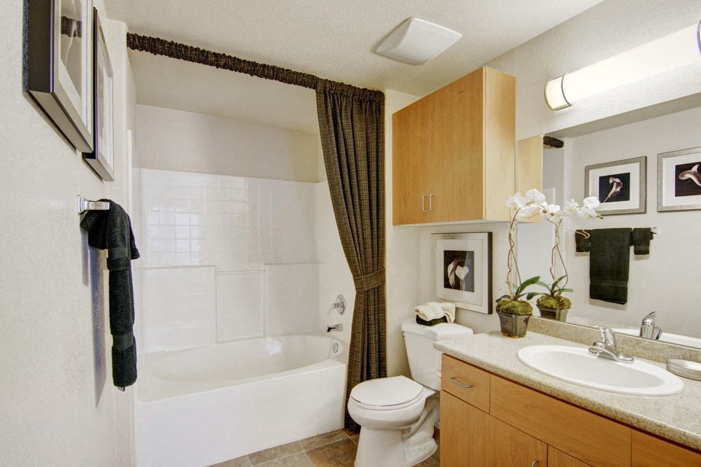 Modern bathroom here at Bela Rosa Apartments with white fixtures, a brown curtain over a bathtub, wooden cabinets, and framed art. A potted orchid adds a touch of elegance.