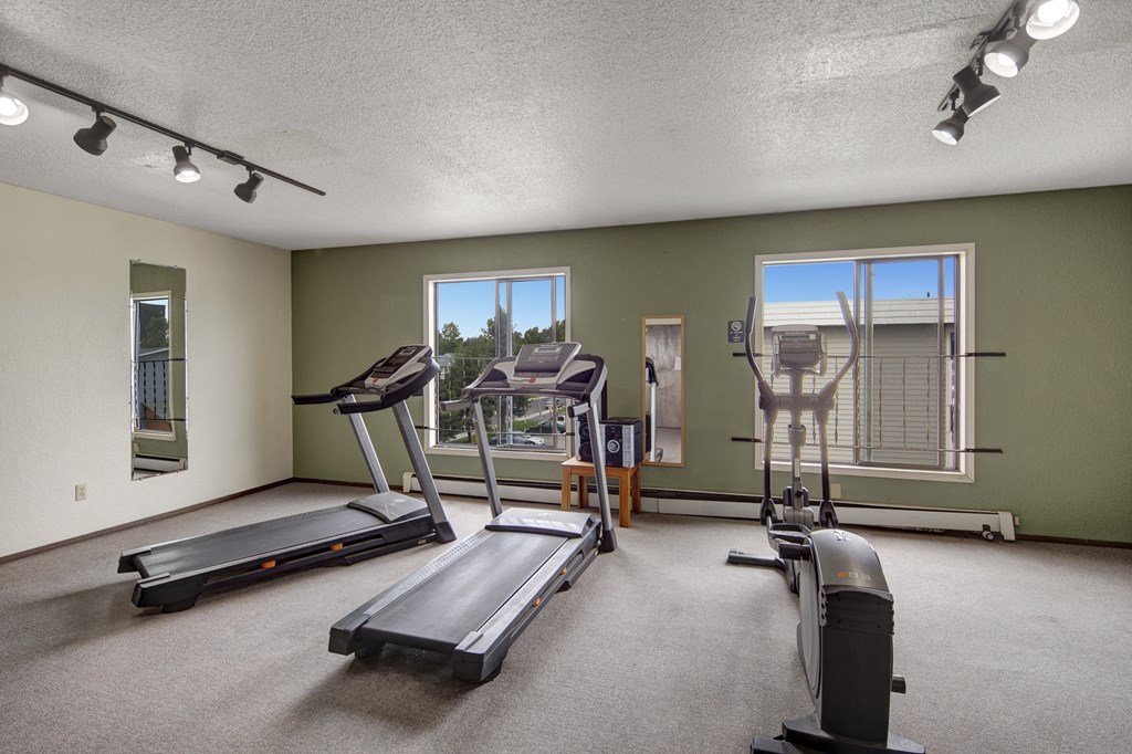A small gym here at The Continental Apartments with two treadmills and an elliptical machine on a carpeted floor. Large windows and mirrors provide natural light and reflection.