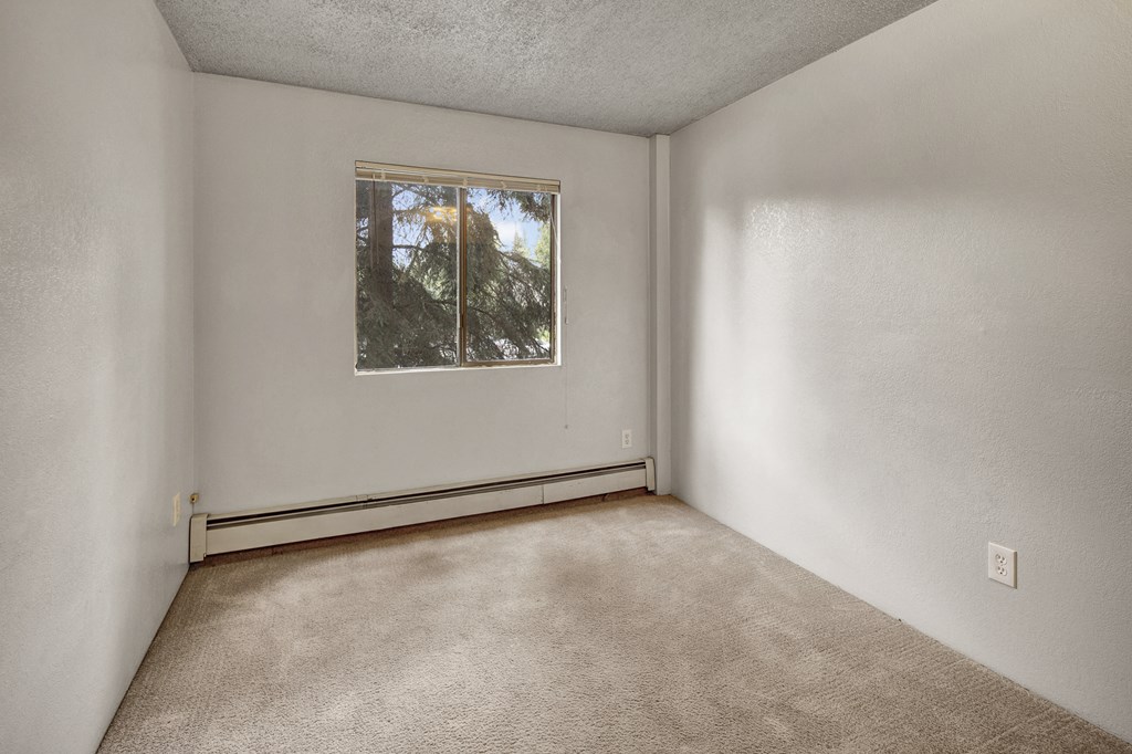 A small, empty bedroom here at Deer Park Apartments with beige carpet, white walls, and a window letting in natural light from outside trees.