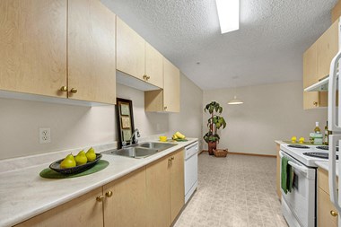 3606 Rollyview Road 1-2 Beds Apartment for Rent Photo Gallery 1