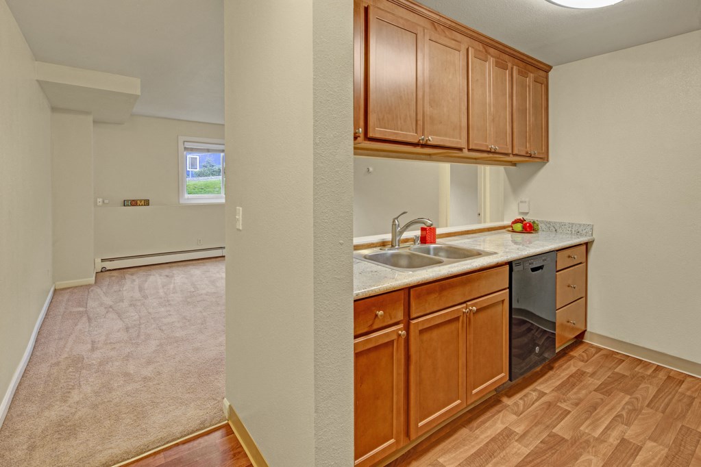 Compact kitchen here at Hillside Chalet Apartments with wooden cabinets, granite countertop, and stainless steel dishwasher. Adjacent carpeted living area with window, offering a cozy atmosphere.