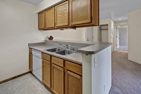 Simple kitchen here at La Maisonnette Apartments with wooden cabinets and light gray countertops, featuring a double sink and dishwasher. Neutral tones create a clean, spacious feel.