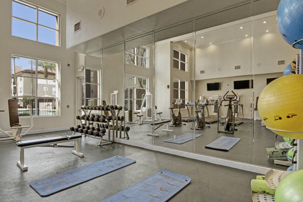Bright gym here at Mozaic at Steele Park Apartments with large mirrors, showcasing a weight rack, exercise bike, bench, and fitness balls. Sunlight streams through tall windows, creating a vibrant and inviting atmosphere.