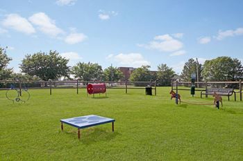 a large grassy area with a trampoline and other playground equipment