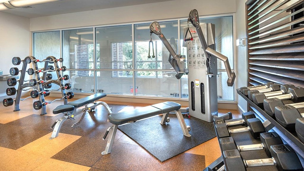 Bright gym here at Lakewood on the Trail Apartment Homes with modern equipment, including free weights, benches, and a cable machine near large windows. Organized, clean, and inviting space.