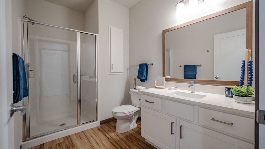 a bathroom with a shower sink and toilet and a mirror