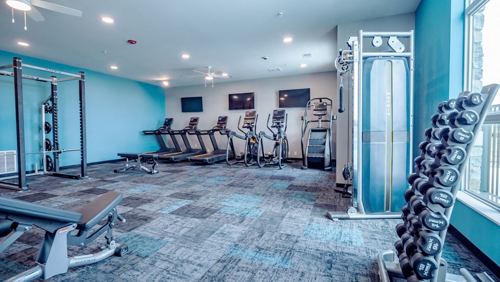 a gym with weights and cardio equipment in a room with windows