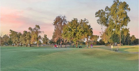 Golf course near Reflect at Dobson Ranch Apartments at sunset with a soft pink sky. Trees and golfers are scattered across the green landscape, creating a calm, peaceful atmosphere.