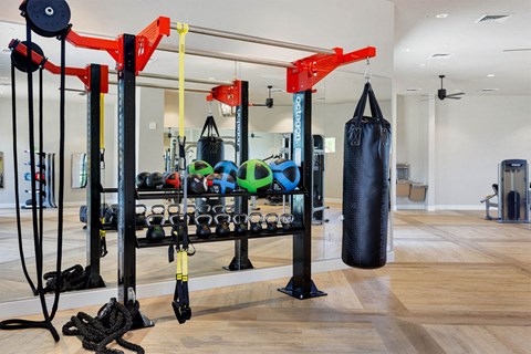 Modern gym here at Reflect at Dobson Ranch Apartments with a red workout station, TRX straps, kettlebells, medicine balls, battle ropes, and a black punching bag. Bright, spacious interior.