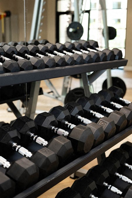 A gym rack holds neatly arranged hexagonal dumbbells of varying weights. The setting conveys an organized, professional fitness environment here at Reflect at Dobson Ranch Apartments.