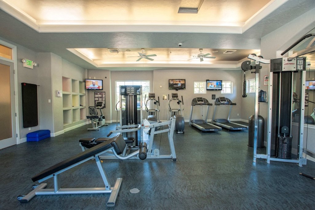 a gym with weights and cardio equipment in a large room