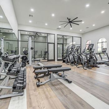 the gym is equipped with state of the art equipment including weights and cardio machines