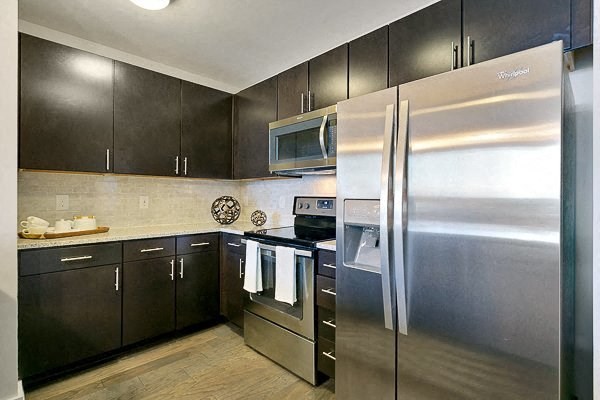 a kitchen with stainless steel appliances and black cabinets
