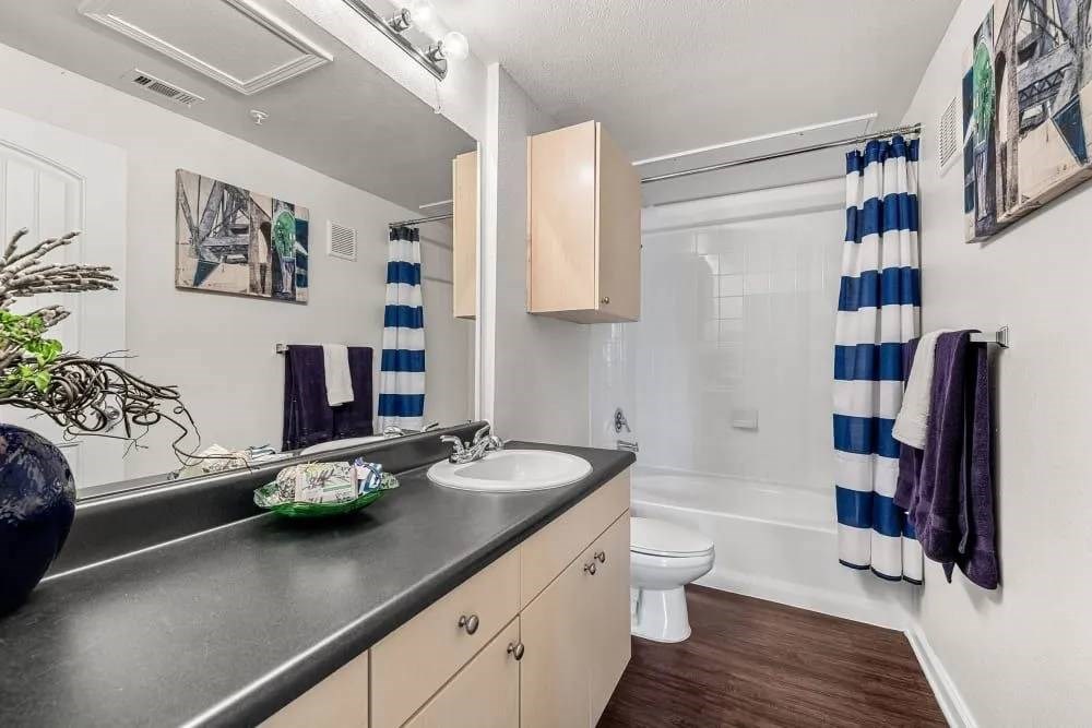 A bathroom with a black countertop and a white toilet.
