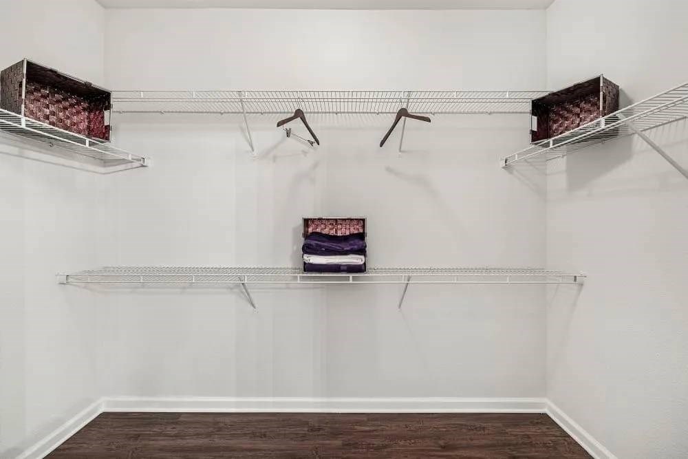 A white wall with three shelves and a purple box on the middle shelf.